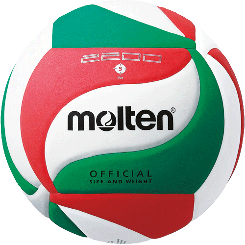 Volleyball, Gr.5, Trainingsball sehr belastbar von Molten