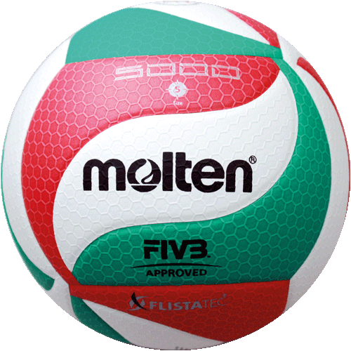 Volleyball, Gr.5, Top-Wettspielball DVV Prüfzei. von Molten